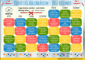 Kedvesség kalendárium.