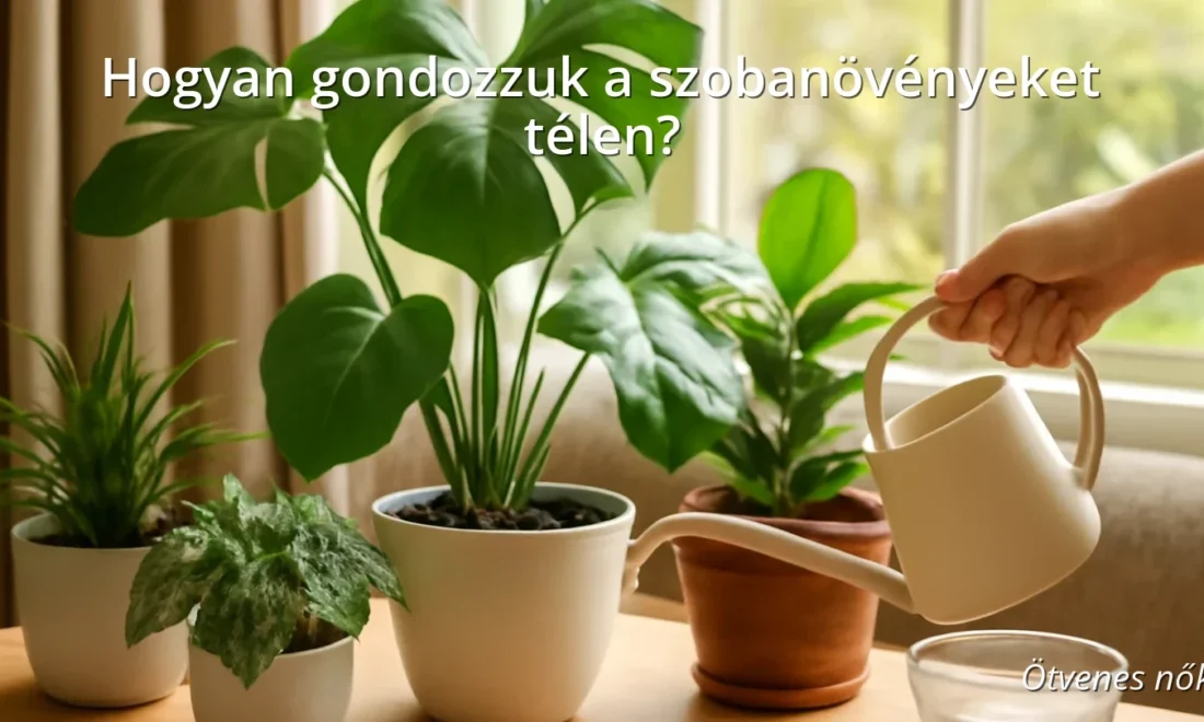 Szobanövények téli gondozása, egészséges zöld növények egy világos lakásban
