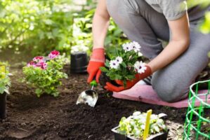 A kertészkedés orvosság